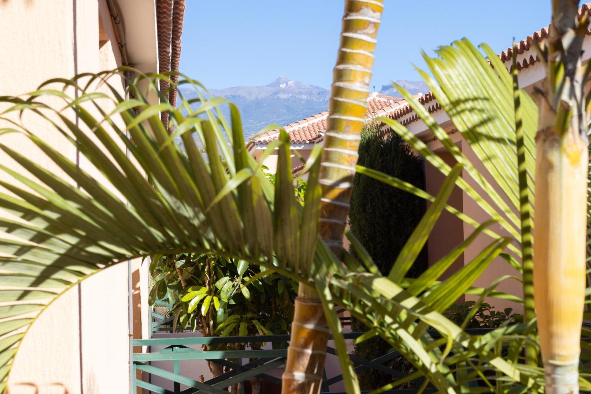 Nice Apt With Terrace In Golf Del Sur Σαν Μιγκέλ ντε Αμπόνα Εξωτερικό φωτογραφία